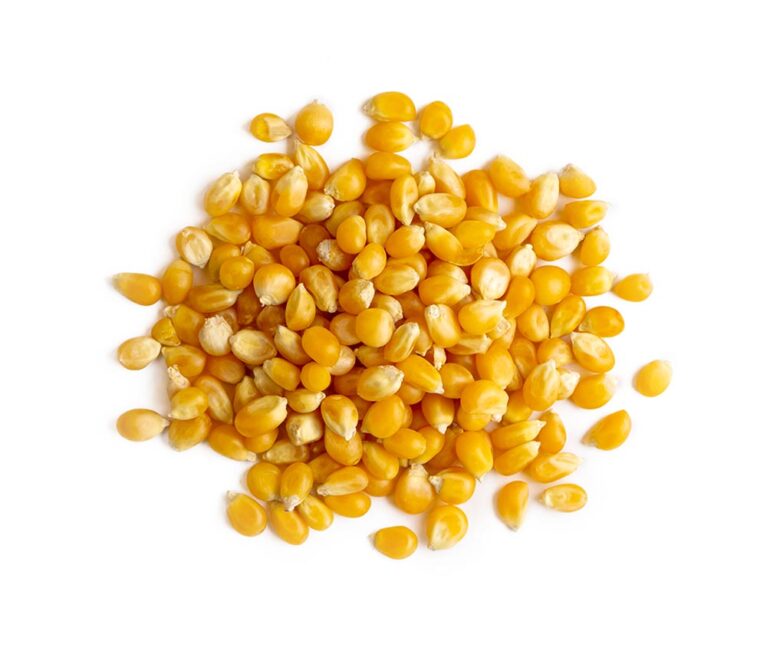Porumb